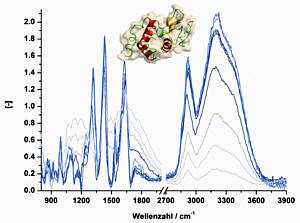 Raman-Spektrum Proteine